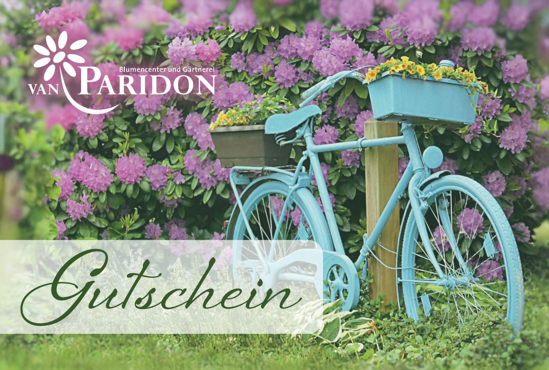 Fahrrad
